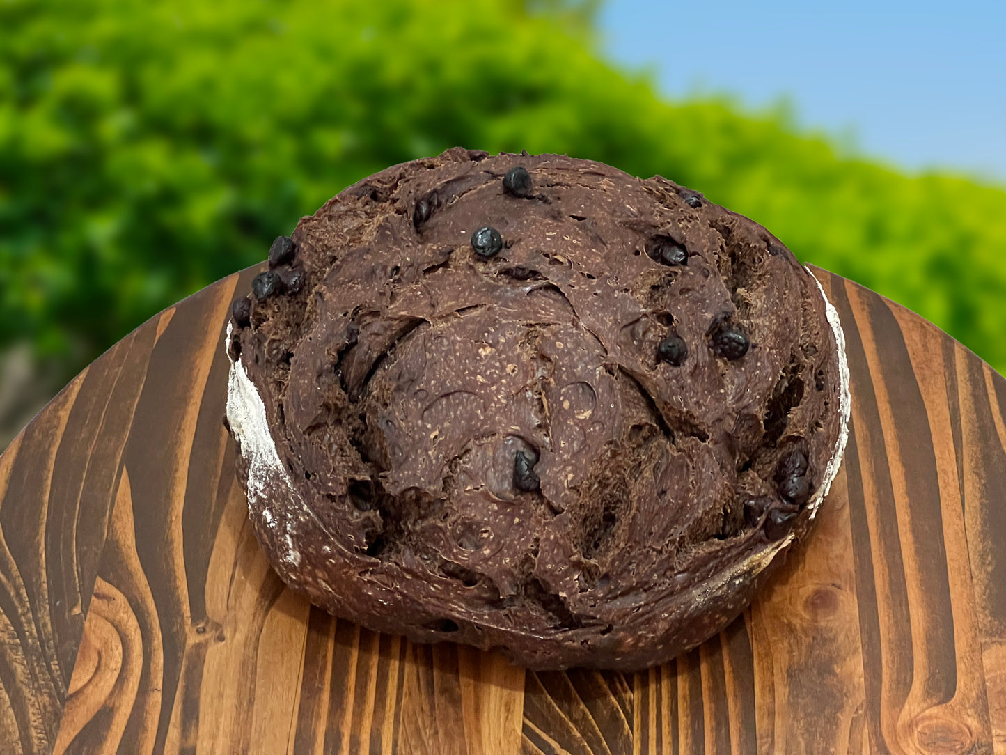 Double Chocolate Sourdough Loaf - 2.45lbs