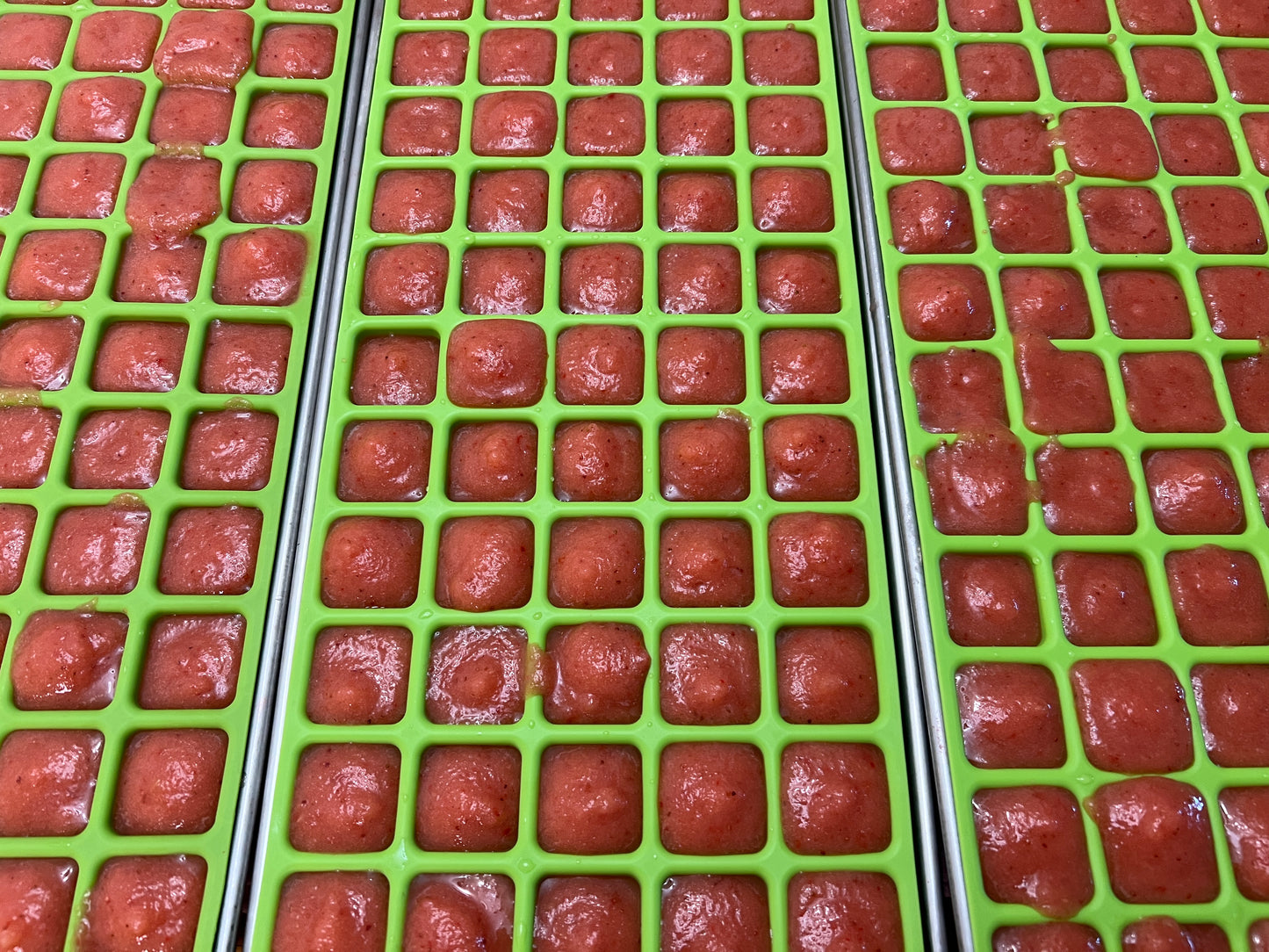 Fruit Bites Freeze Dried Snacks - 1.0 oz